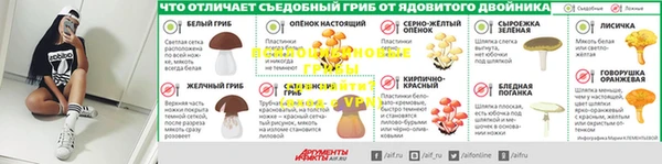 2c-b Корсаков