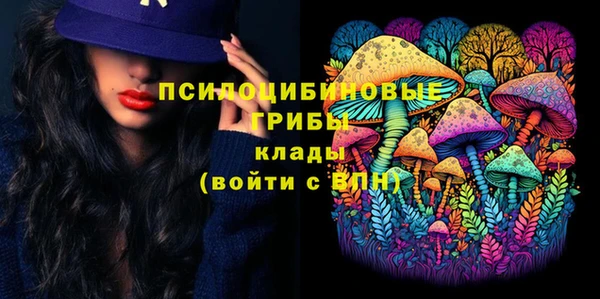 2c-b Корсаков